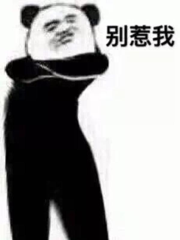 大长腿熊猫头表情包哈哈哈