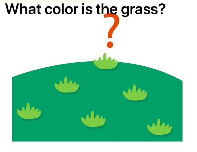 答案是:the grass is green. 第三题