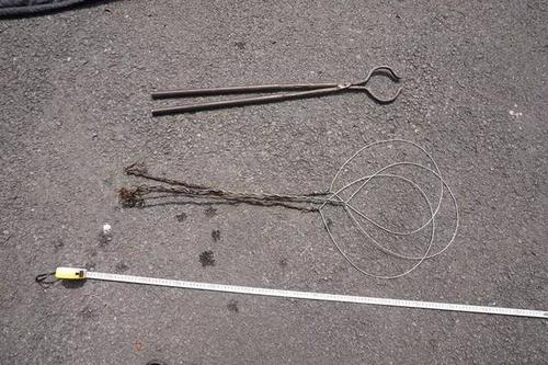 可恶!两重庆男子合江乡镇偷狗 偷一条狗仅需3秒钟 终于落网了!