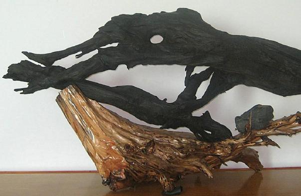 哪里可以出手阴沉木