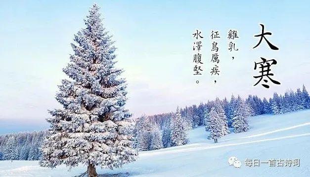 大寒丨在最后一个节气,等待春天!