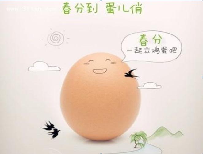 「春分到,蛋儿俏」青岛市市南区实验幼儿园——天台路