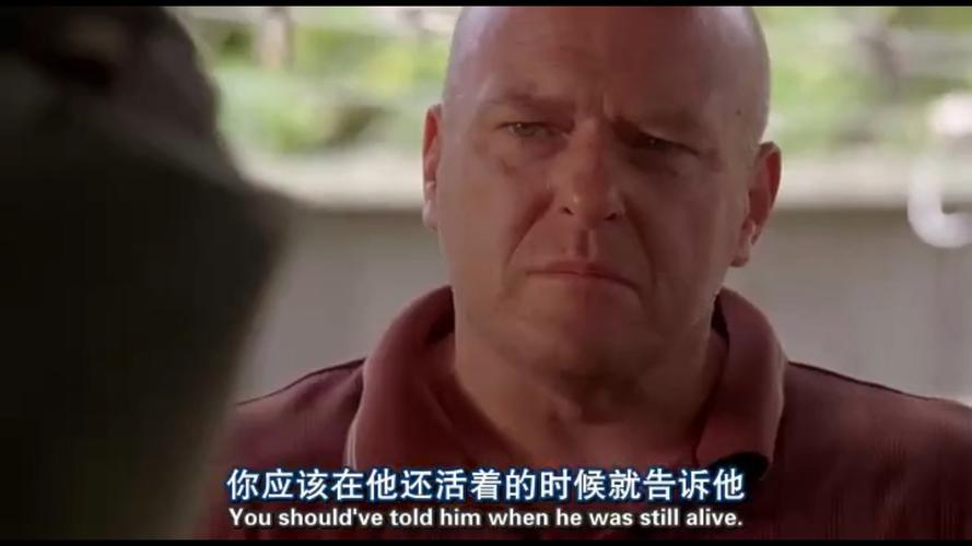 [第13集] 《绝命毒师》汉克客串第13集