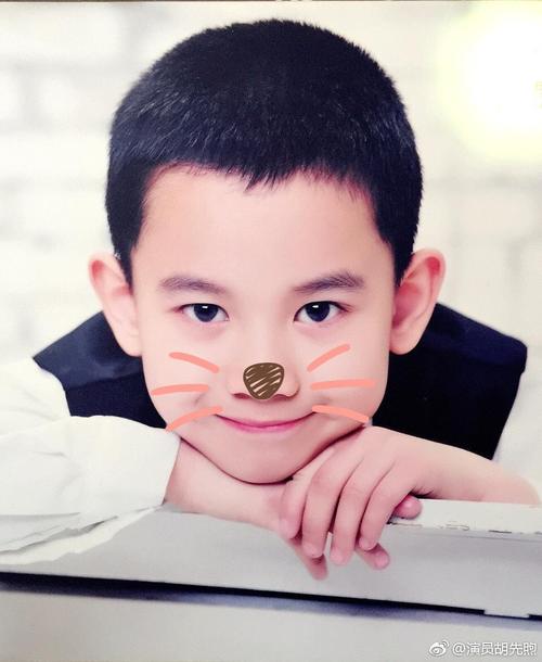 胡先煦 xianxu hu的图片