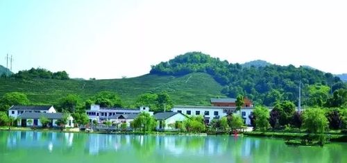 宁海胡陈梅山村.图片来源:宁波文明网