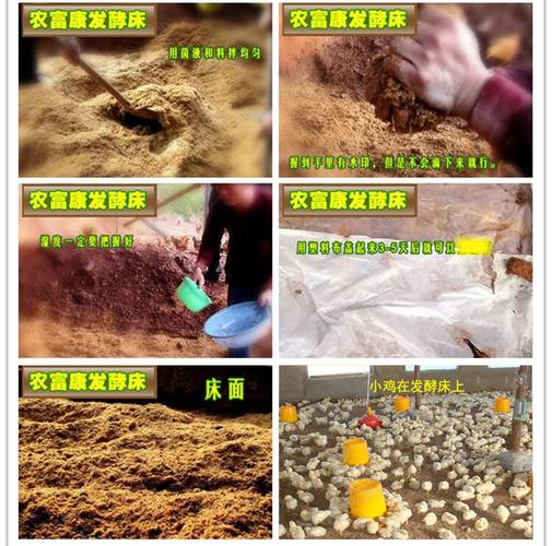 养鸡用的发酵床菌种 (转载)