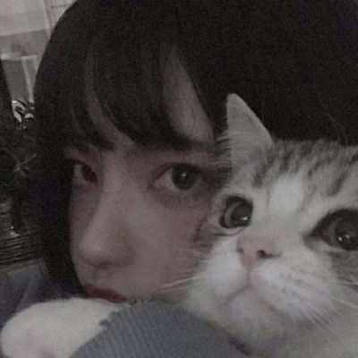 高颜值美女抱猫头像