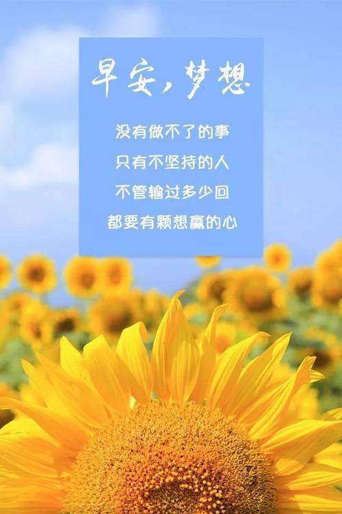 早安正能量语录句子 早安心语阳光正能量语录