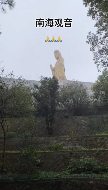 普陀山祈福:心有多净,福有多深,一方净土,三柱清香,愿所求皆如愿