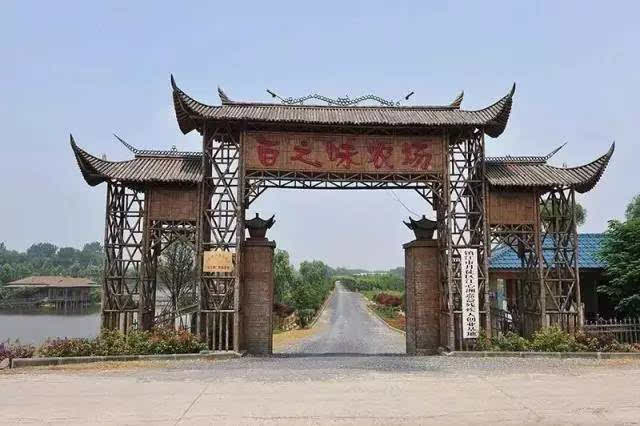 江心洲,它是镇江最乡村的地方,这里的农庄深藏着美食和爱,秋色征服