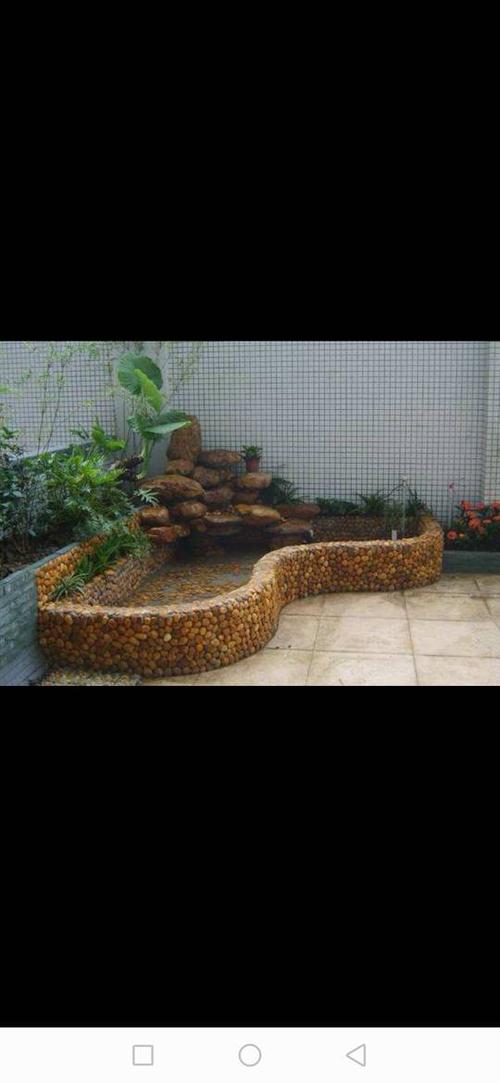 自砌鱼池内部用什么颜色瓷砖?