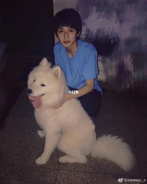 严浩翔宠物大户_严浩翔_宠物_猫咪_宠物_猫_晒猫