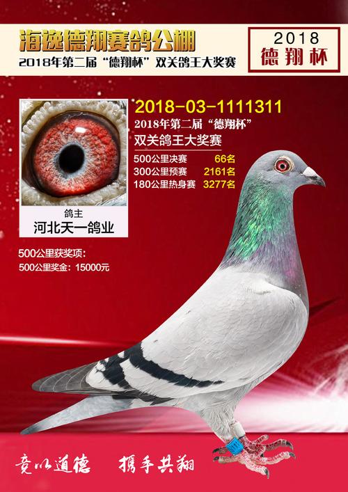 德翔决赛66名_河北天一鸽业_ag188.com爱鸽商城_中国信鸽信息网