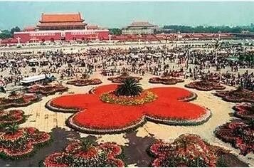 滚动新闻   1987年   1990年   1991年   1992年,天安门广场摆花首次