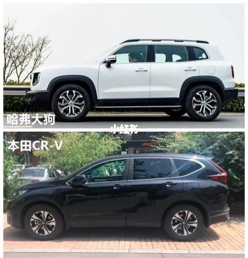 跟哈弗大狗拼配置循迹倒车出手:提车_提车_新手_日系