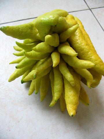 云南水果特产有哪些 云南有那些特产水果?