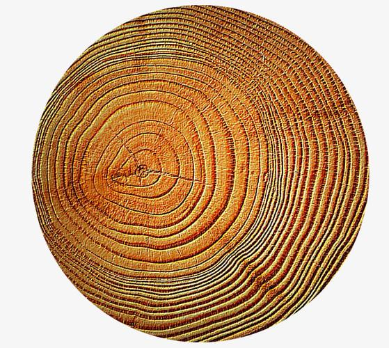 树的年轮免抠素材免费下载_觅元素51yuansu.com
