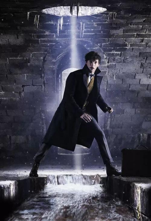 神奇动物在哪里2:格林德沃之罪fantastic beasts: the crimes of