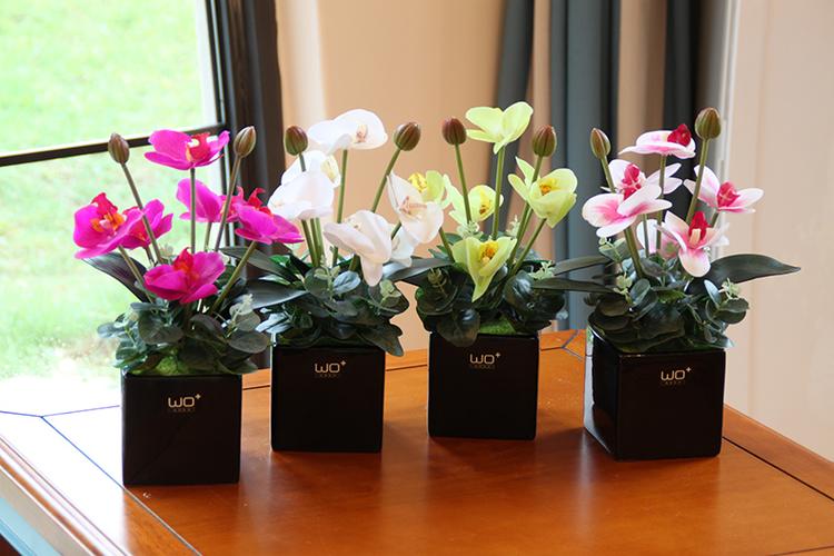 wo高仿真pu蝴蝶兰花艺套装现代简约桌面花会议装饰花带陶瓷花盆