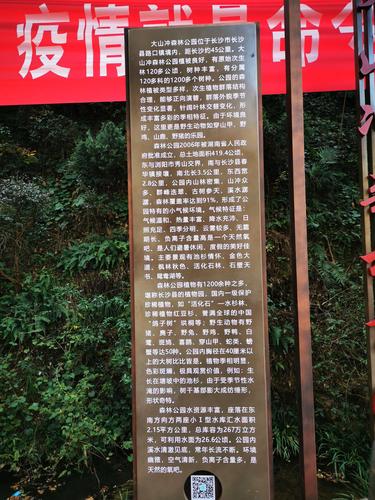 大山冲森林公园之行