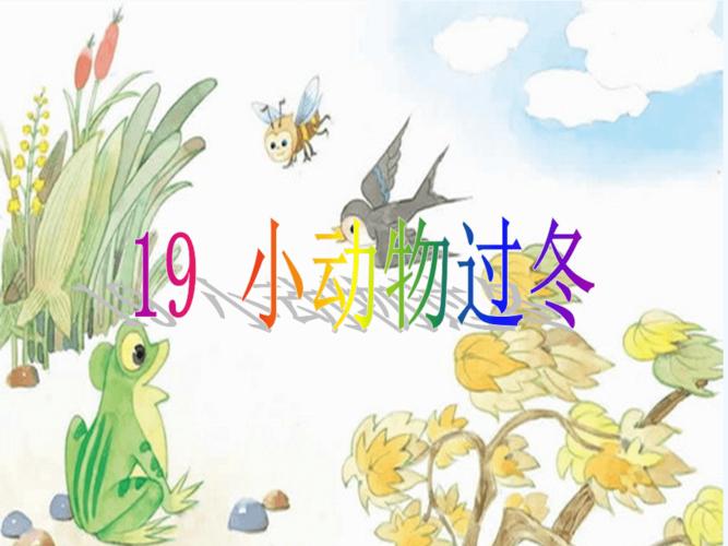 《小动物过冬》课件2.ppt