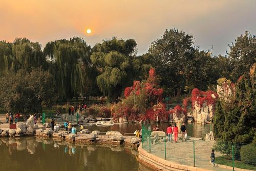 龙潭湖公园的四季之美(2021年2月3日修改)