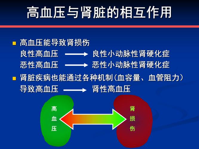 肾性高血压ppt课件