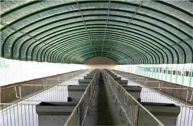 建一个养猪大棚,人工,砖沙灰,大棚材料等,看看需要多少钱?