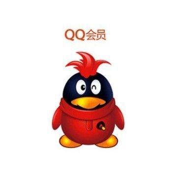 qq会员7天自动更换头像