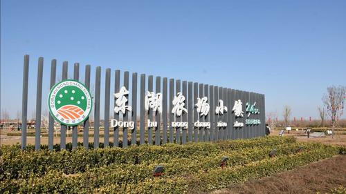 正月游摄东湖农场小镇