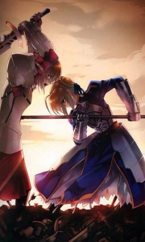 兰斯洛特fate 卫宫士郎 吉尔伽美什fate fate莫德雷德 炽天覆七重圆环