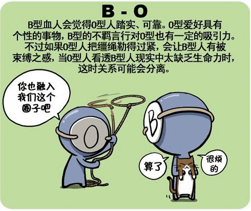 b型血与各血型之间的人际关系