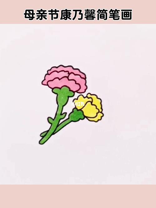 康乃馨简笔画_康乃馨_简笔画_母亲节礼物_母亲节去哪玩_文化_绘画