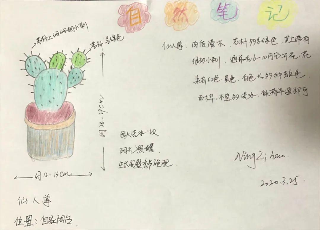 香山科普|"阳台花园" 自然笔记作品展