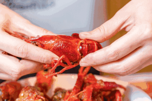 6种口味小龙虾畅吃啤酒畅饮口碑上佳苏州日航酒店自助晚餐