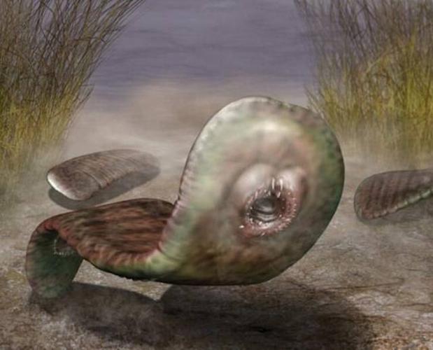 怪虫横行的寒武纪:当时的生物为什么如此怪异?|动物