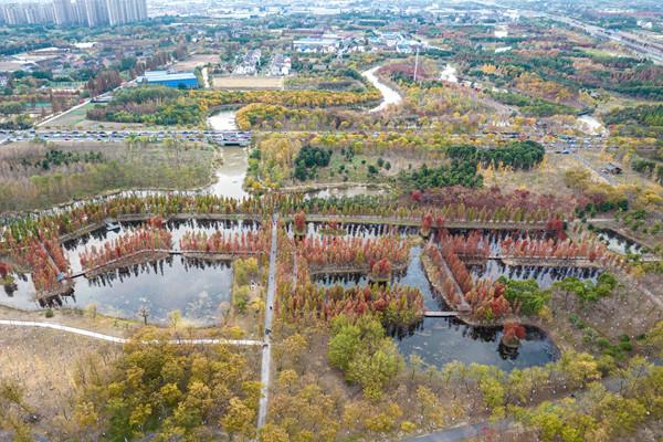 常有我常州新龙生态园