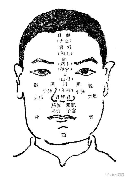左颊部肝,右颊部肺.额心颏肾,鼻脾部位.