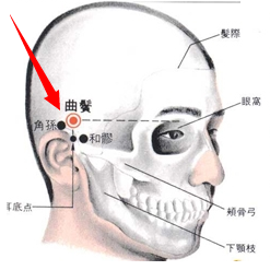 曲鬓穴穴位位置图及作用