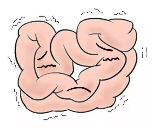 身体出现了肠梗阻