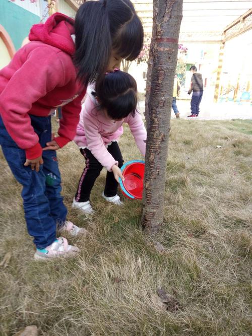 懂得珍惜爱护小树,增强环保意识…… 我们一起表演《爱护小树苗》
