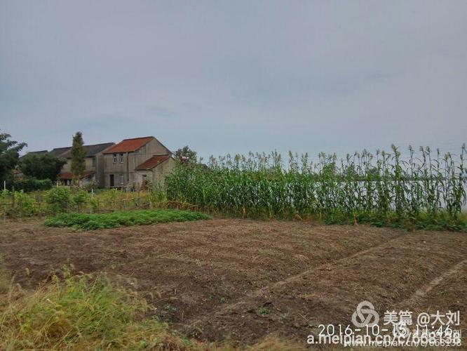 重回第二故乡一崇明新海农场三连