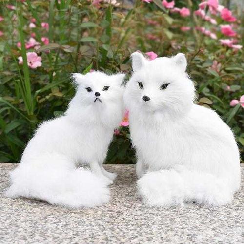 白狐狸图片美甲 九尾白狐狸精图片