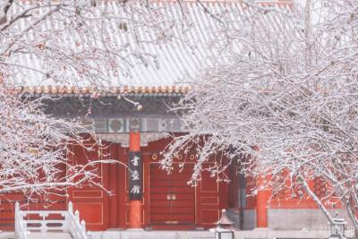 故宫 雪