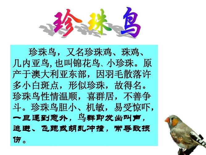 数学 五年级上册第16课教学ppt  五年级上册第16课教学课件 珍珠鸟,又