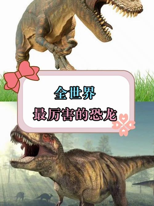 全世界最厉害的恐龙