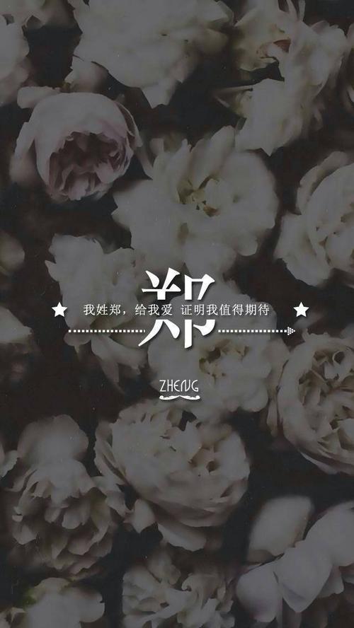 我姓郑却挣不到你的爱,求大神帮忙制作图片,三张图