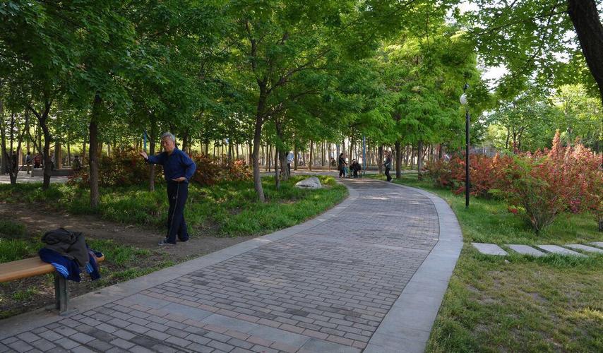 龙湖公园旅游景点攻略图