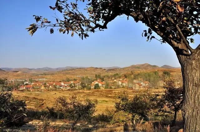 国庆别走远!安丘这些古村落,一个个玩过去!