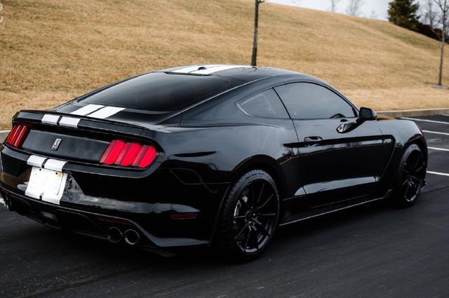 蒙迪欧,福特野马这个车型在国内并不算知名,知道福特野马眼镜蛇的就更